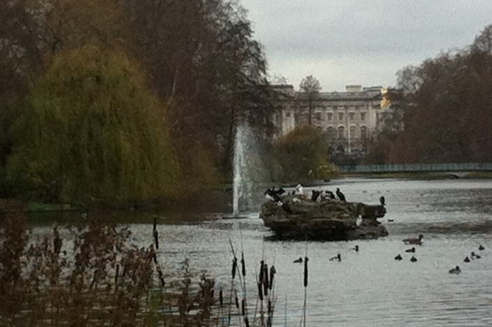 Tiffany Fountain